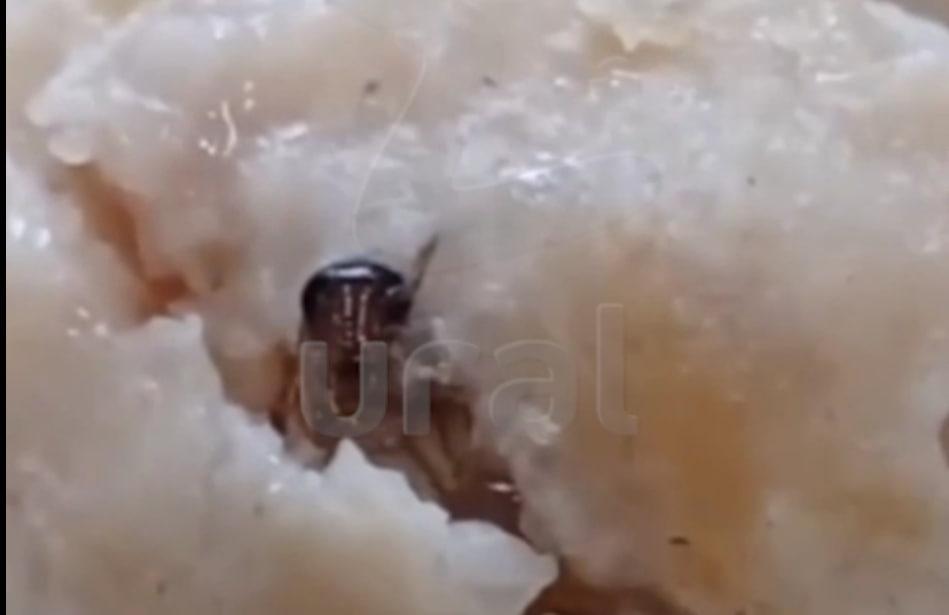 Таракана в котлете обнаружили ученики в столовой школы на Уралмаше - Фото 1