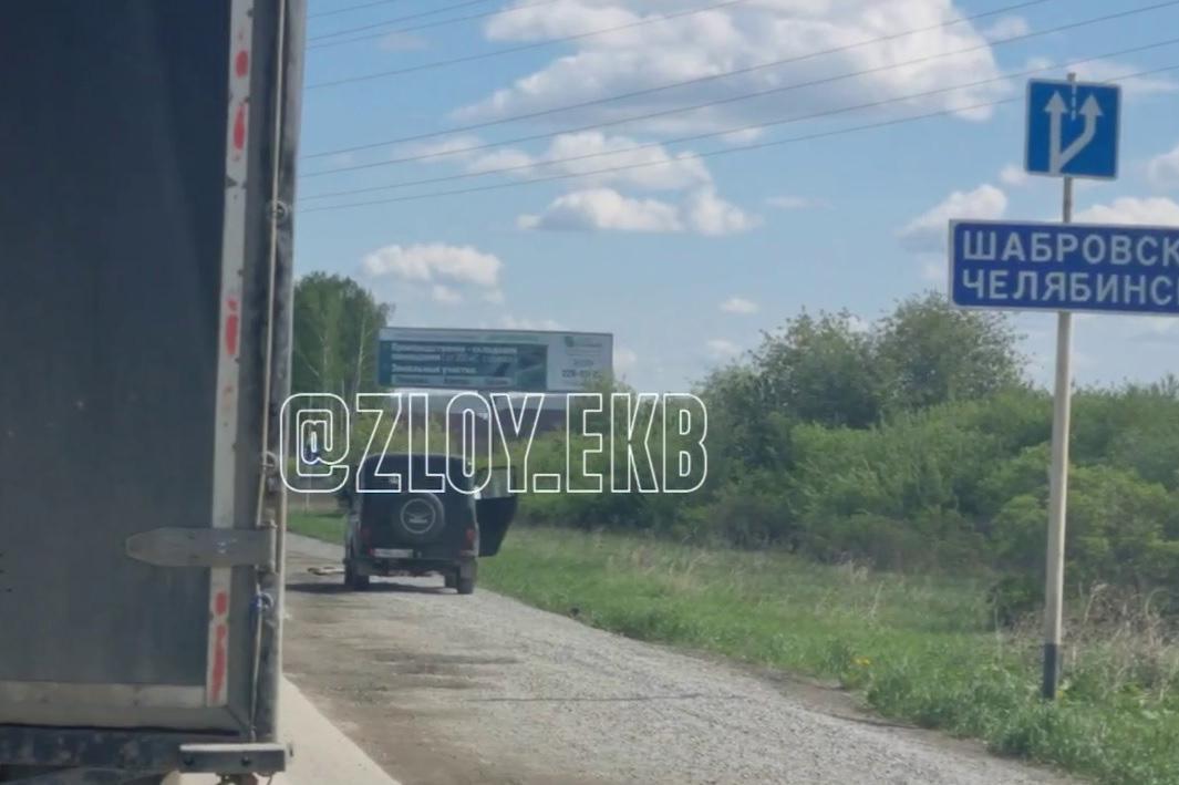На трассе под Екатеринбургом нашли мертвого лосенка - Фото 1