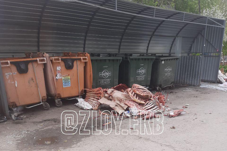 На Старой Сортировке в Екатеринбурге нашли груду костей - Фото 1