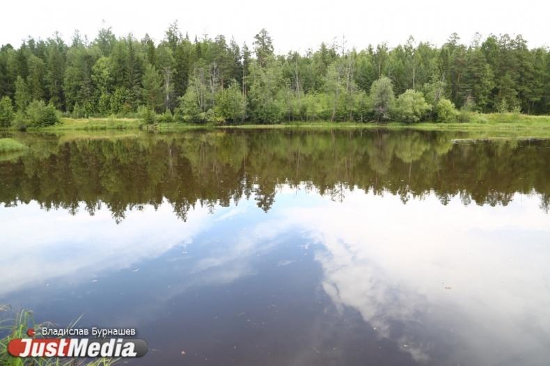 В Верхнетагильском пруду утонул 14-летний подросток - Фото 1