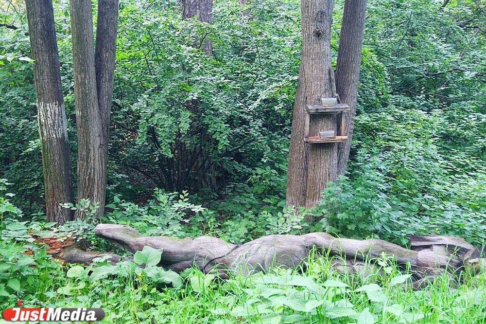 В парке лесоводов России упала деревянная скульптура рудокопа - Фото 1