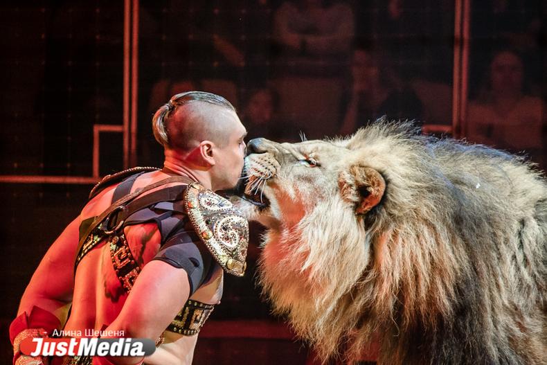 Закон о запрете передачи животных в цирки могут рассмотреть в Госдуме - Фото 1