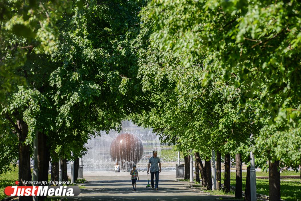 Дожди в Екатеринбурге прекратятся, но теплой погоды ожидать не стоит - Фото 1