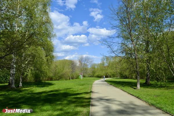 Подрядчик в парке 50-летия ВЛКСМ будет работать даже зимой - Фото 1