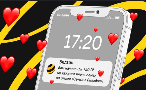 Российские семьи стали больше делиться интернет-трафиком в сети Билайна - Фото 1