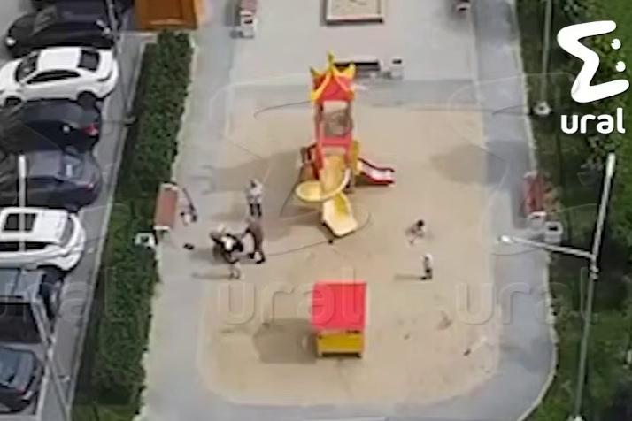 Мужчина, избивший пожилую женщину на детской площадке в Академе, заявил на нее в полицию - Фото 1