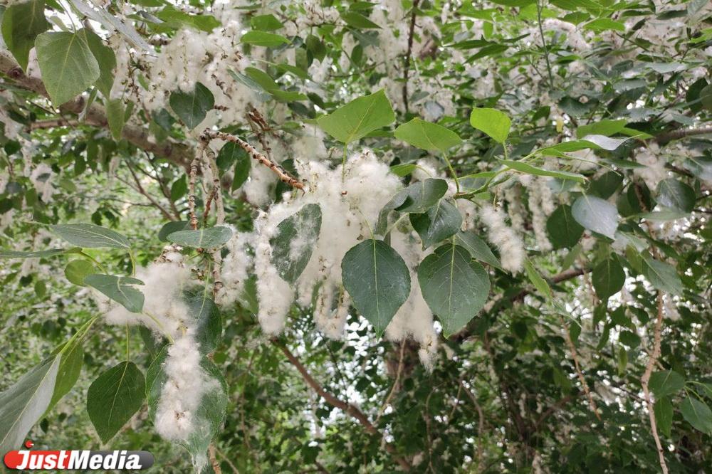 Терапевт рассказала, как распознать аллергию и справиться с ней - Фото 1