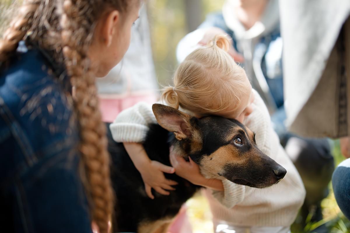 В Екатеринбурге пройдет театрализованное шествие с огромными картонными и живыми псами - Фото 1