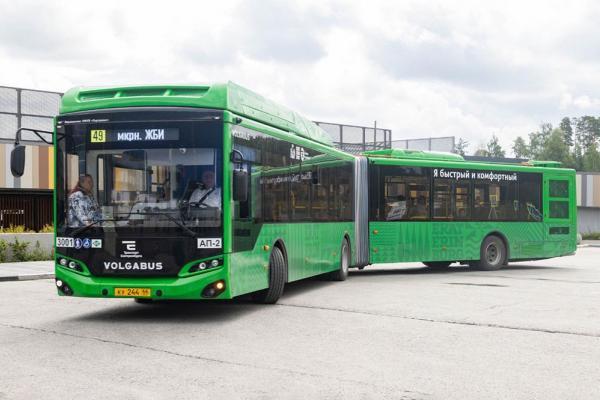 Автобусы-гармошки впервые за пять лет вышли на улицы Екатеринбурга - Фото 1