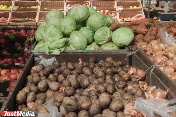 В Свердловской области дешевеют сезонные овощи - Фото 1