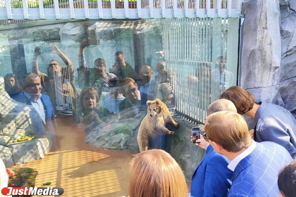 В Екатеринбурге обновили вольер для бурых медведей за 30 млн рублей - Фото 1