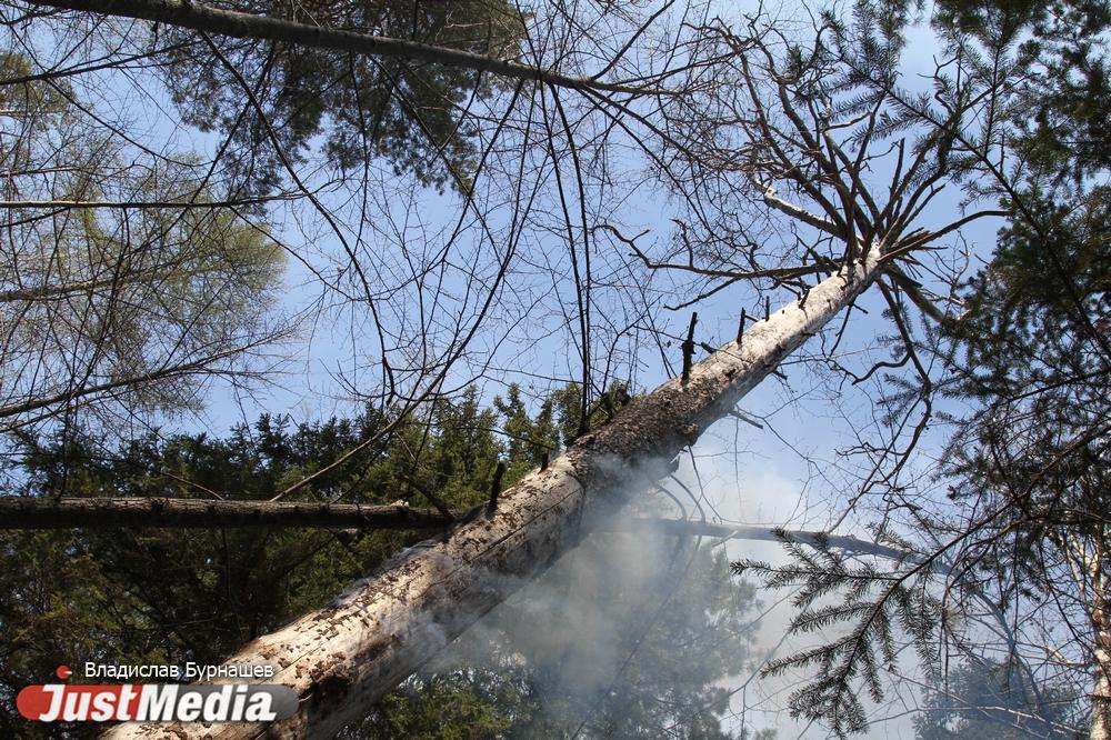 Больше двух десятков человек застряли в селе под Геленжиком из-за лесного пожара - Фото 1