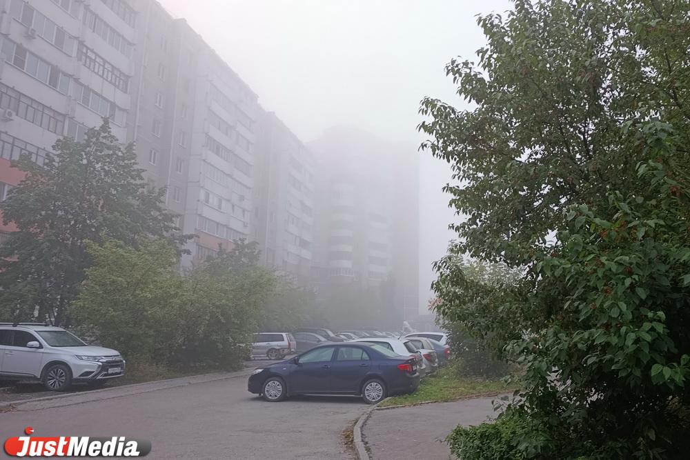 ГИБДД предупредила уральцев об ухудшении видимости на дорогах из-за тумана - Фото 1