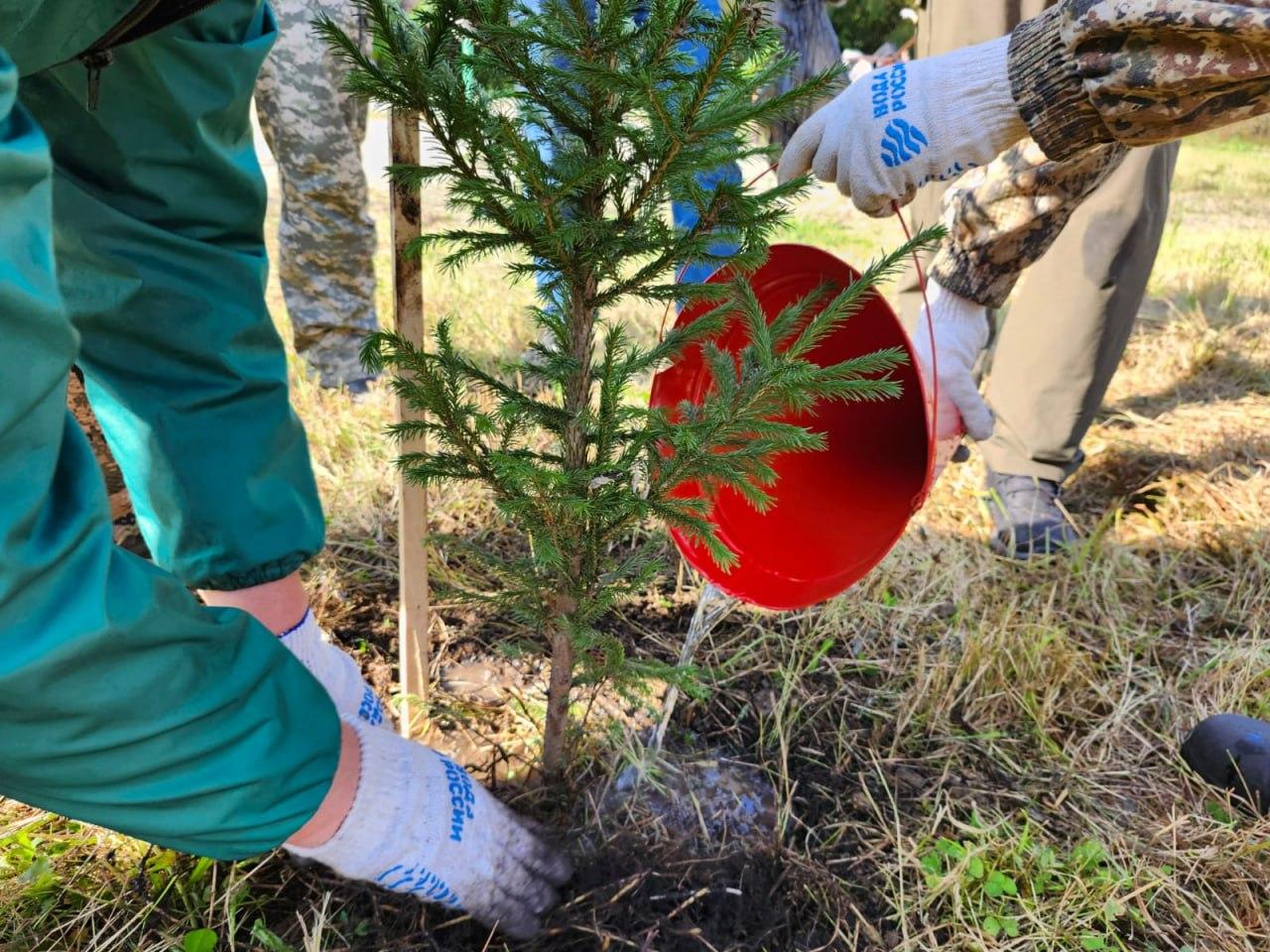 На Шарташе посадили «Лес Победы» - Фото 1