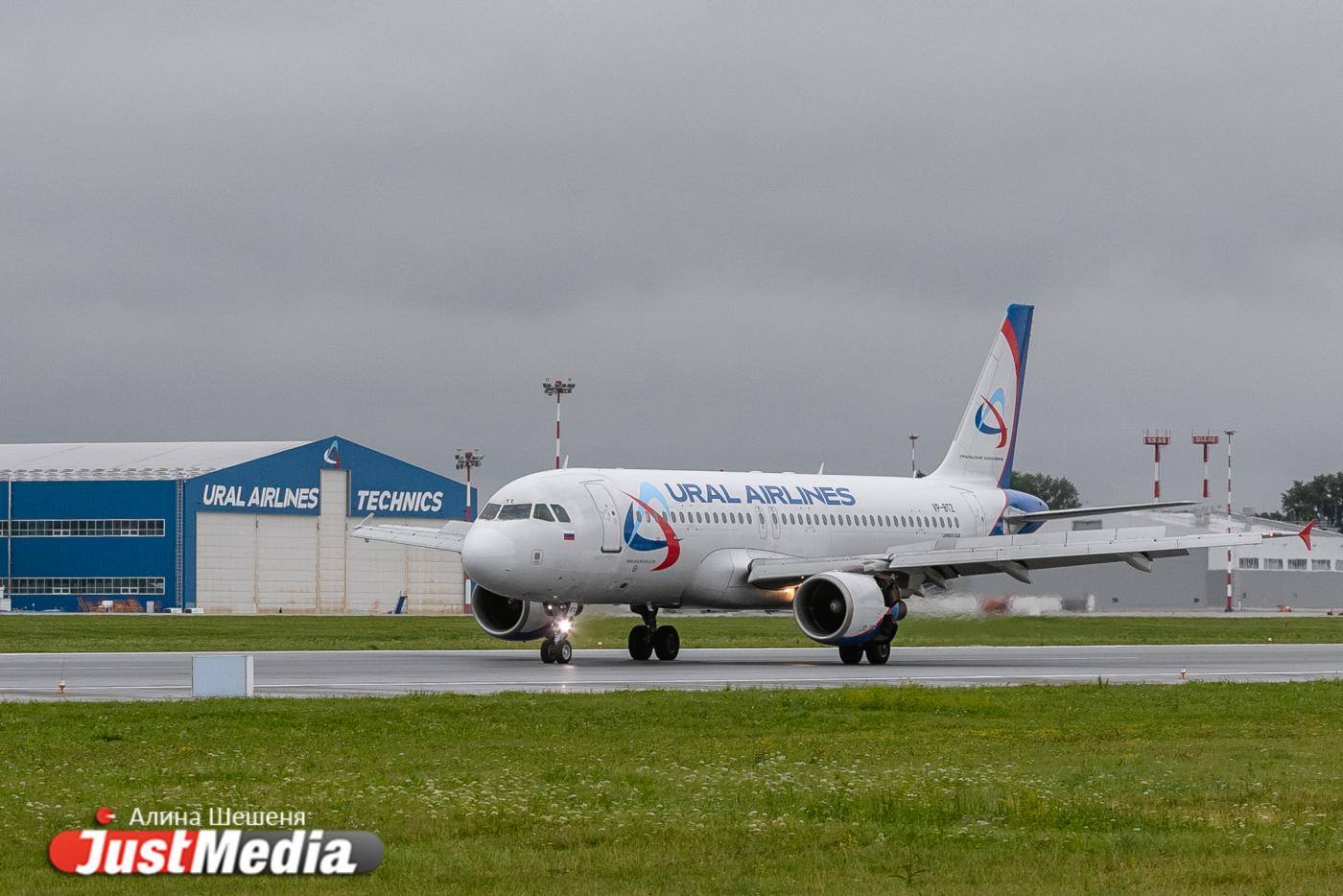 Самолет «Уральских авиалиний» прервал полет после столкновения с птицей - Фото 1