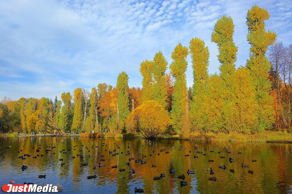 До пятницы в Екатеринбурге солнечно и +13 градусов - Фото 1
