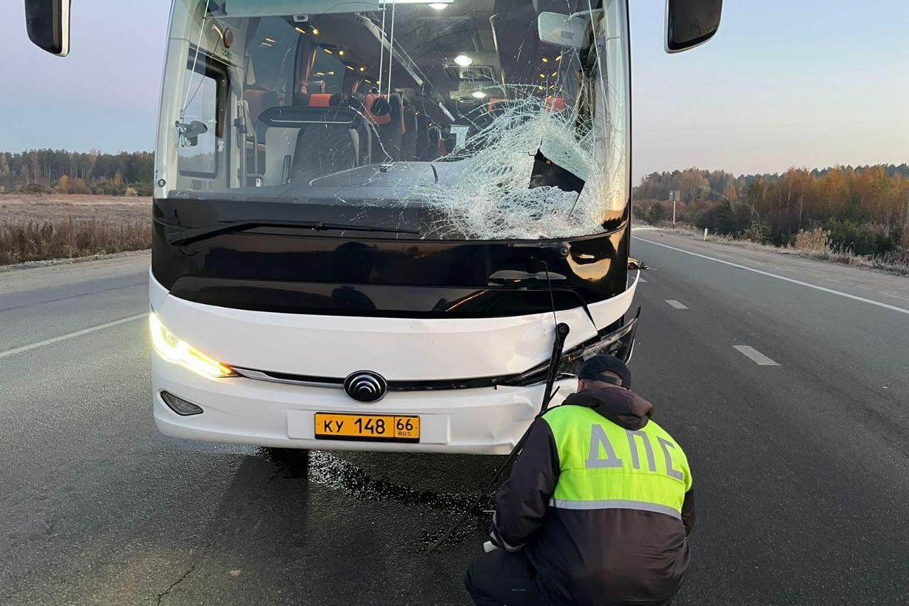 Под Верхней Пышмой пассажирский автобус сбил пешехода насмерть - Фото 1