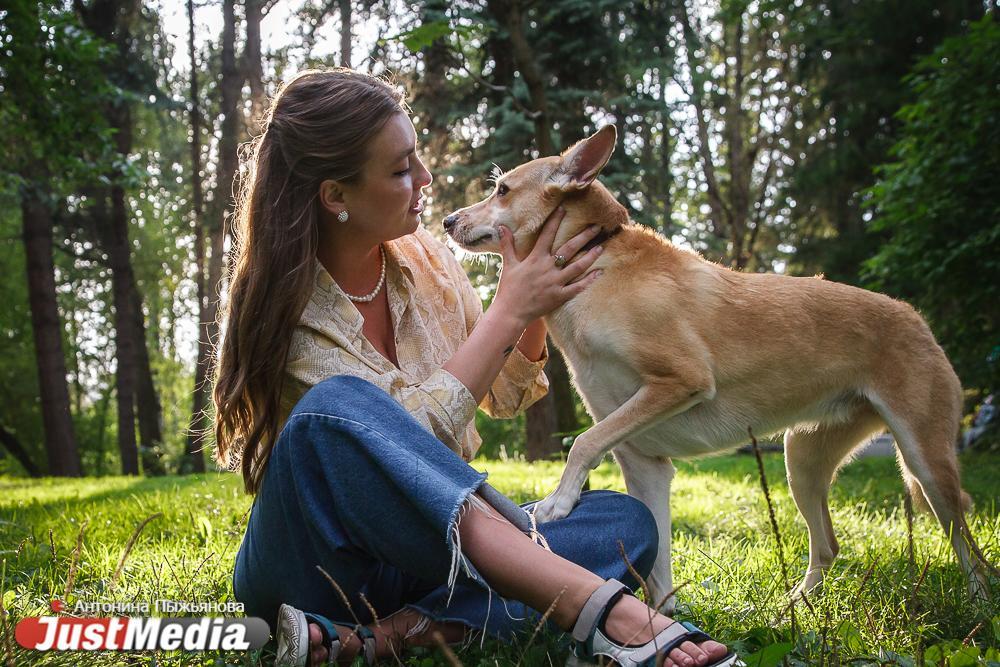 В Москве хозяйку собаки оштрафовали за мочу питомца на газоне - Фото 1