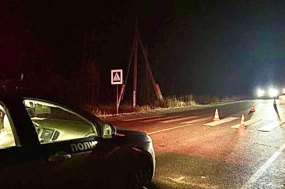 На трассе под Режом водитель иномарки насмерть сбил женщину-пешехода, опоздавшую на автобус - Фото 1