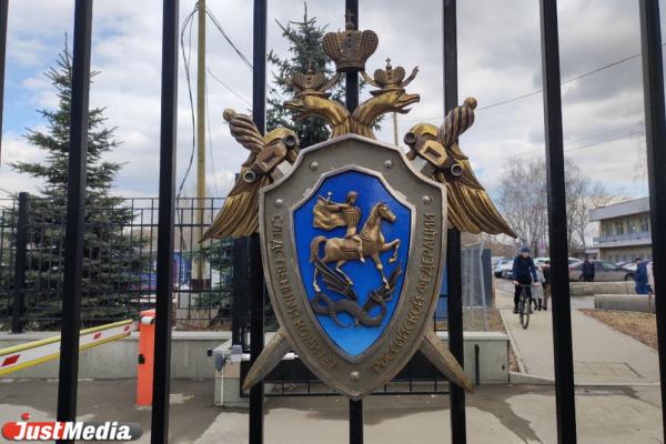 В Екатеринбурге глава СКР заинтересовался мигрантом, который угрожает детям - Фото 1