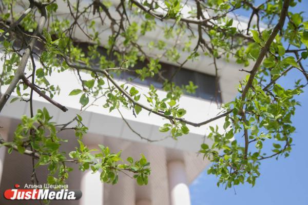 Какой будет погода во время «Ночи музеев 2025» в Екатеринбурге? - Фото 1