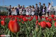 Зонтики можно оставить дома. Погода на последний звонок 2025 в Екатеринбурге 