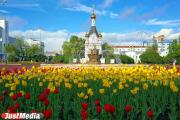 К лету Екатеринбурге высадят более пяти гектаров цветников