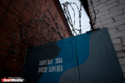 Экс-глава свердловского ТУ Росимущества Сергей Зубенко обжаловал свой арест