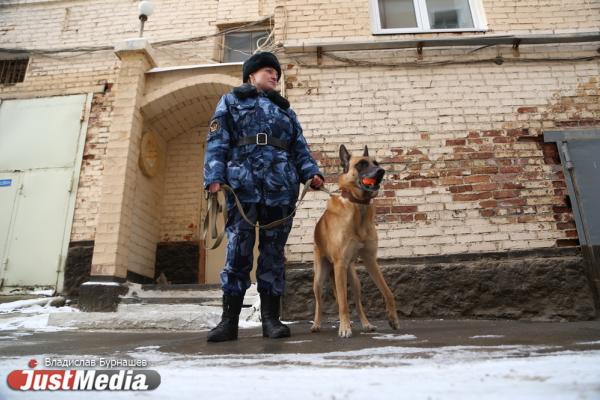 Фигурантами уголовного дела стали сотрудники СИЗО-1 Екатеринбурга, из которого сбежали заключенные - Фото 1