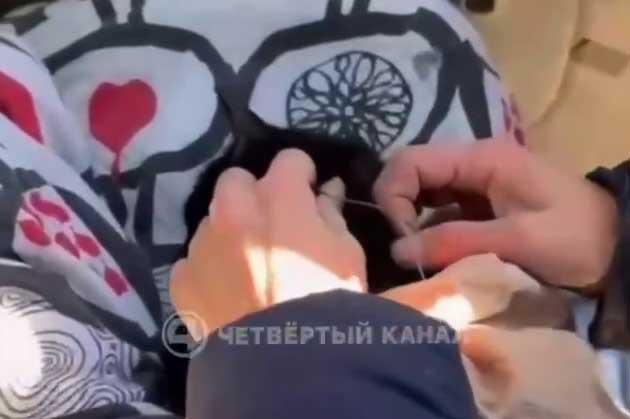 На Уралмаше живодер затягивал удавки вокруг шей бездомных кошек - Фото 1