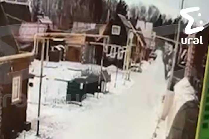 В Верхней Пышме в СНТ двое застрелили собаку - Фото 1