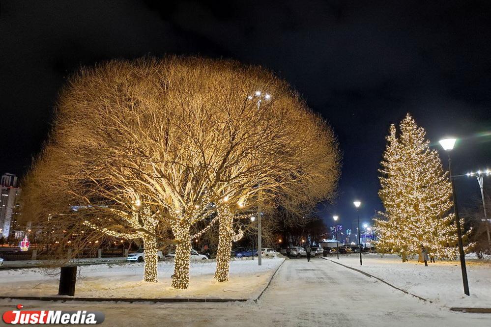 В мэрии рассказали, где в районах Екатеринбурга откроются новогодние елки - Фото 1