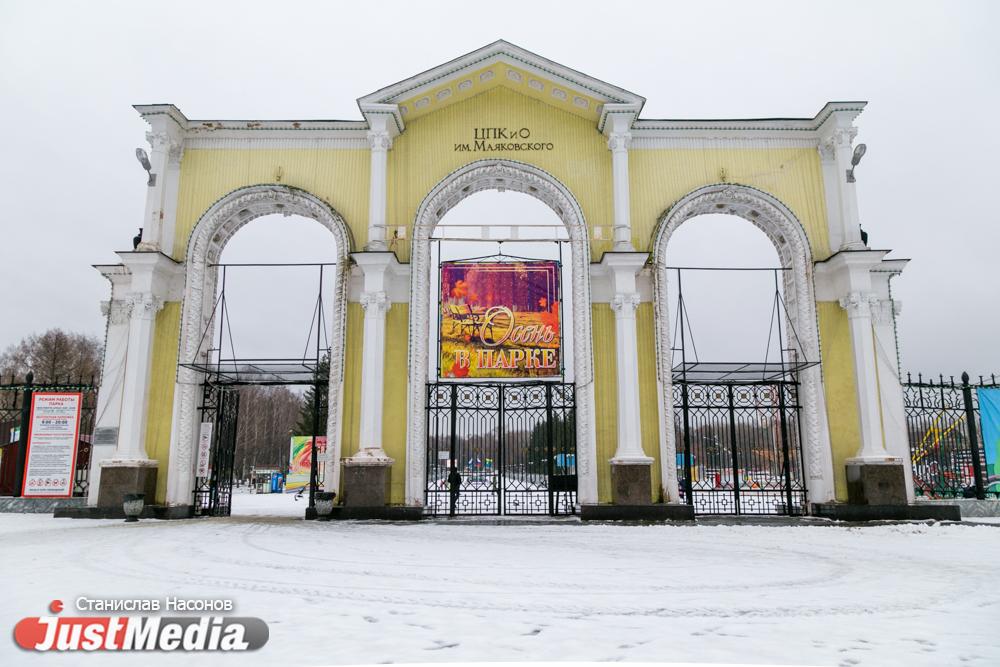 С приходом морозов в парке Маяковского начали заливать каток - Фото 1