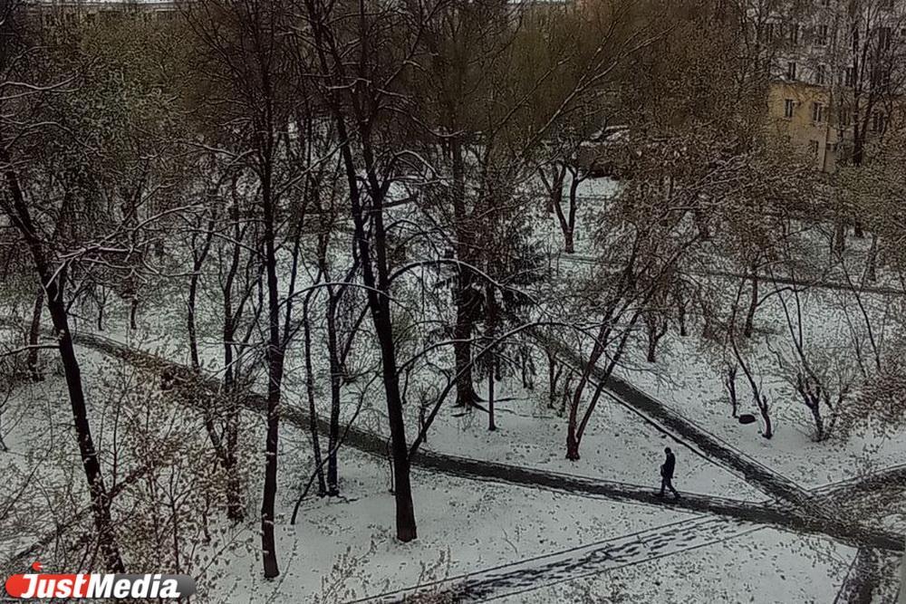 Богданович потратит 4,2 млн рублей на уборку площади Мира, а также городских скверов и парков - Фото 1