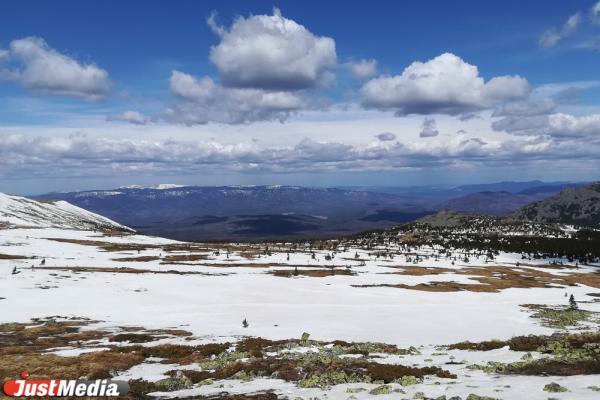 В Самарской области возбудили дело после исчезновения четырех детей - Фото 1