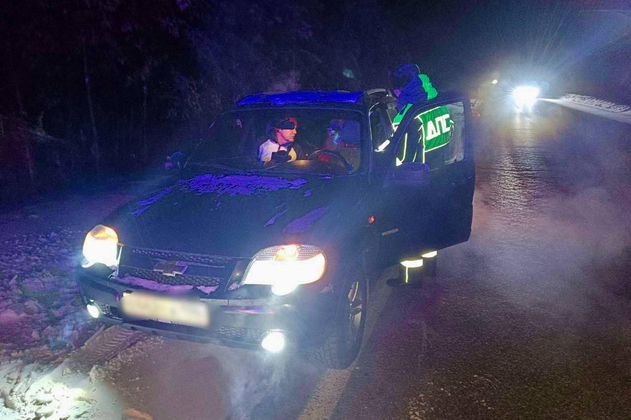 Экипаж ДПС спас замерзающую семью на Серовском тракте - Фото 1