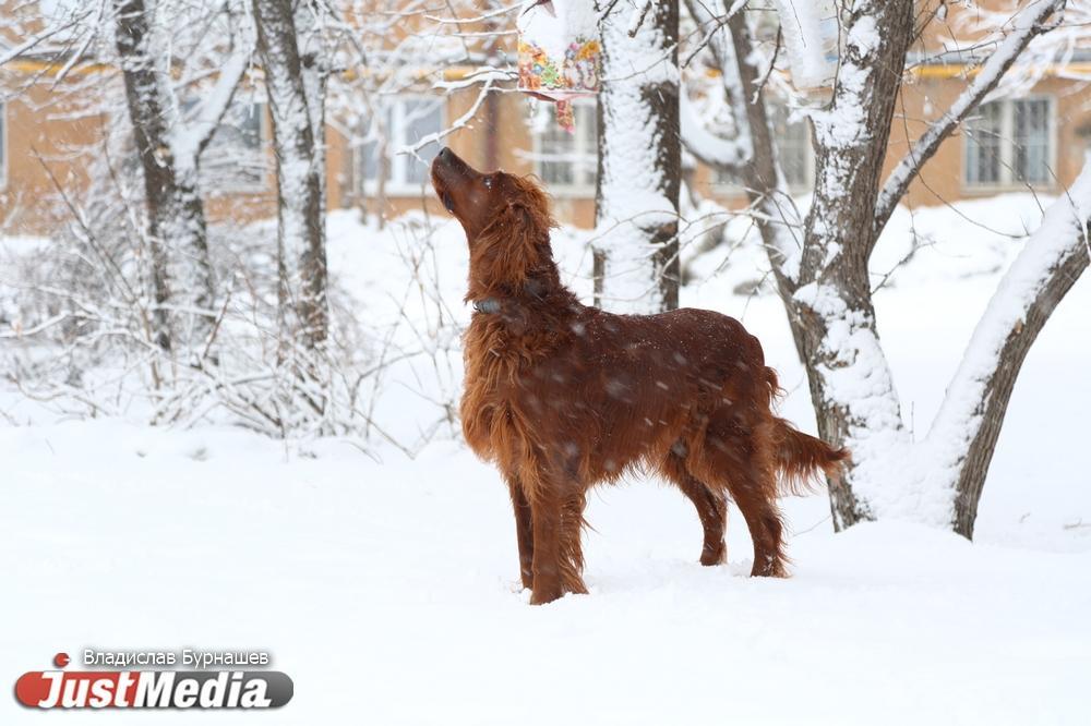 МЧС предупредило жителей Свердловской области о сильном ветре 7 января - Фото 1