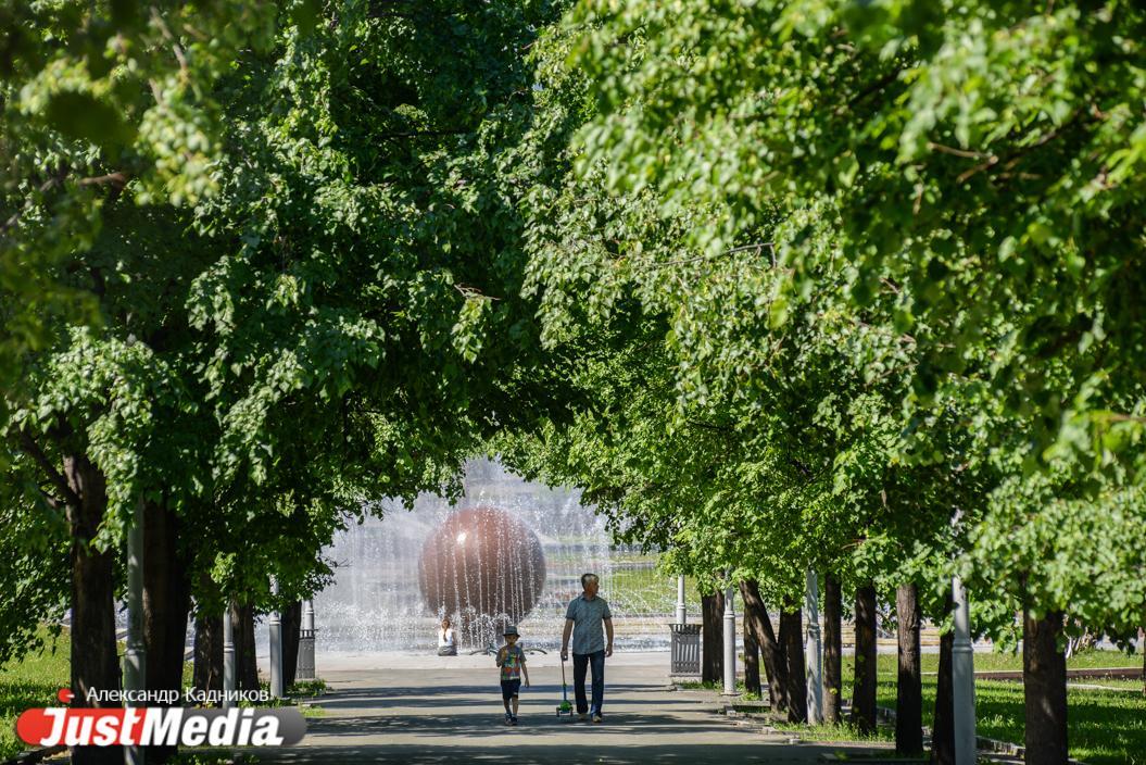 В Екатеринбурге начали выбирать зеленые территории, которые благоустроят в 2027 году - Фото 1