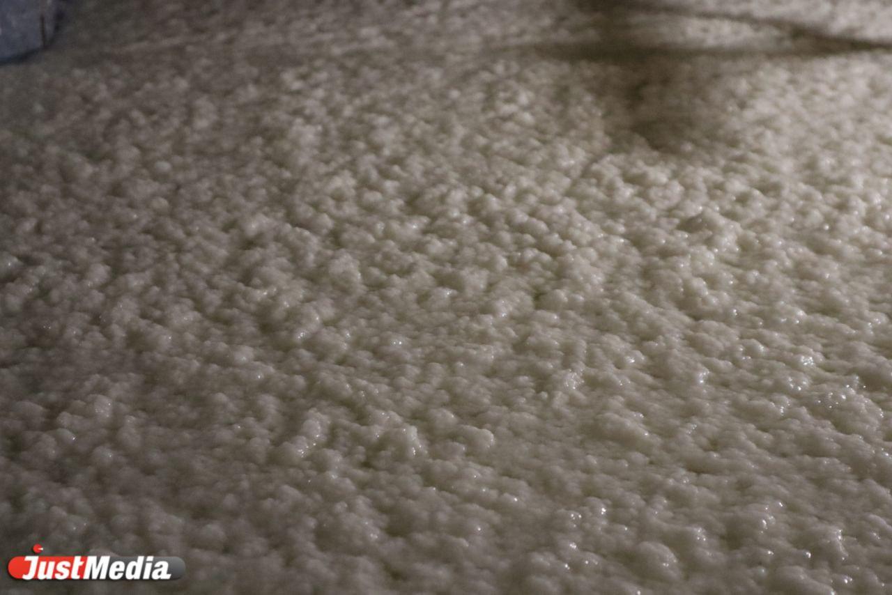 Туринский завод будет производить целлюлозу для ликвидации разливов нефти - Фото 1