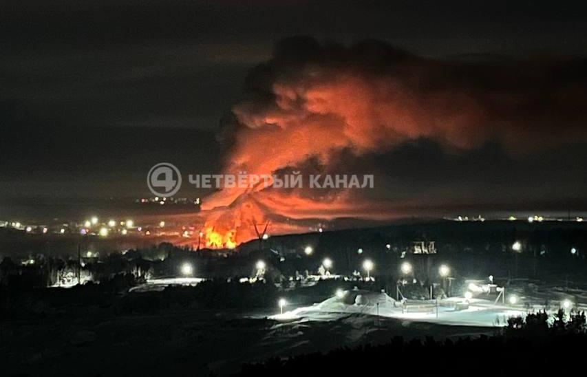 В деревне под Заречным ночью сгорели 15 лошадей - Фото 1
