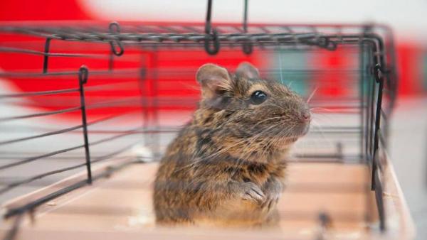 Фото: Свердловская магистраль