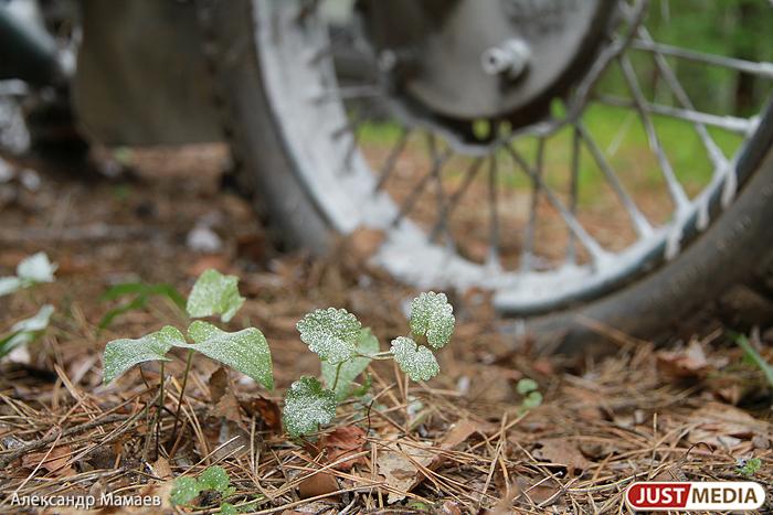 В Полевском родители подростков, сбивших девочку на мотоциклах, заплатят ей 500 тысяч рублей - Фото 1
