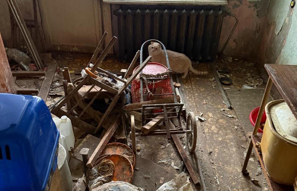  В Екатеринбурге приставы помогли УК попасть в квартиру и изъять десять кошек - Фото 1