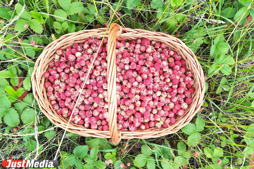 Врачи рассказали о том, какие продукты улучшают самочувствие и помогают укрепить сердечную мышцу - Фото 1