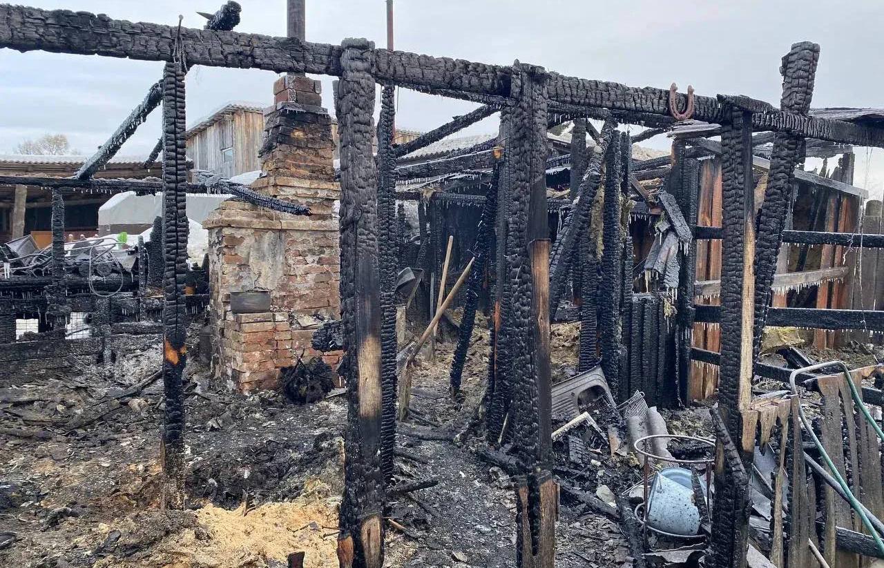 В Сысерти по факту гибели двух мужчин при пожаре в конюшне возбудили уголовное дело - Фото 1