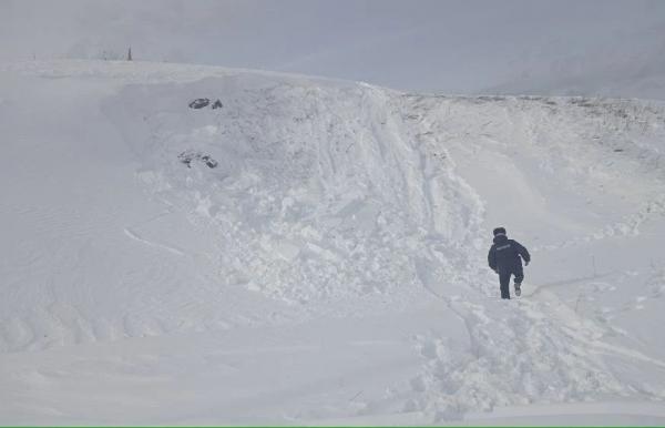 Фото: В.Н. Горелых