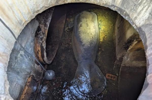 ФОТО: Brevard County Fire Rescue