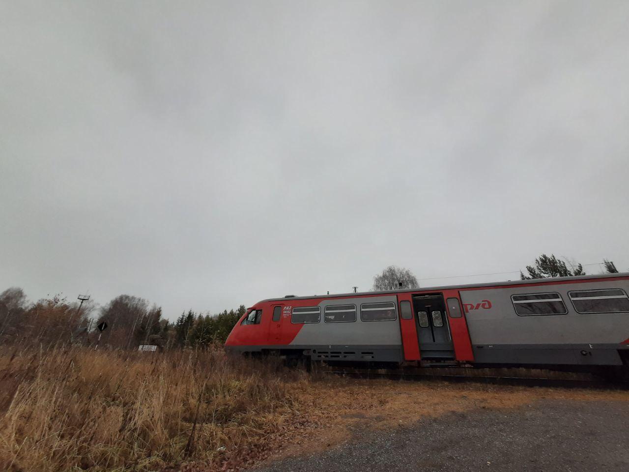 СвЖД назначила поезд на праздник весны в парк «Оленьи ручьи» - Фото 1