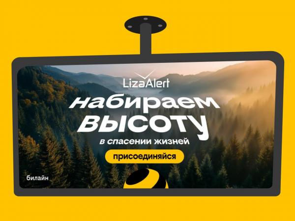 Фото: пресс-служба Билайна