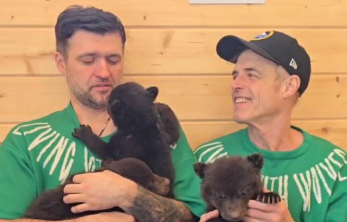 Зоозащитник из Екатеринбурга Кирилл Потавов спас трех медвежат - Фото 1